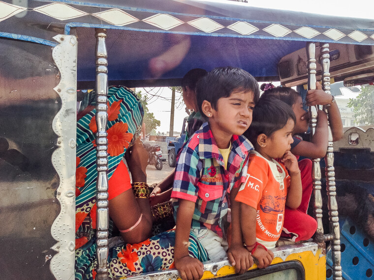 India 2014 - Khichan 006.jpg